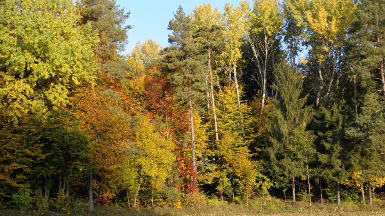 Photo of Others in Obertrubach
