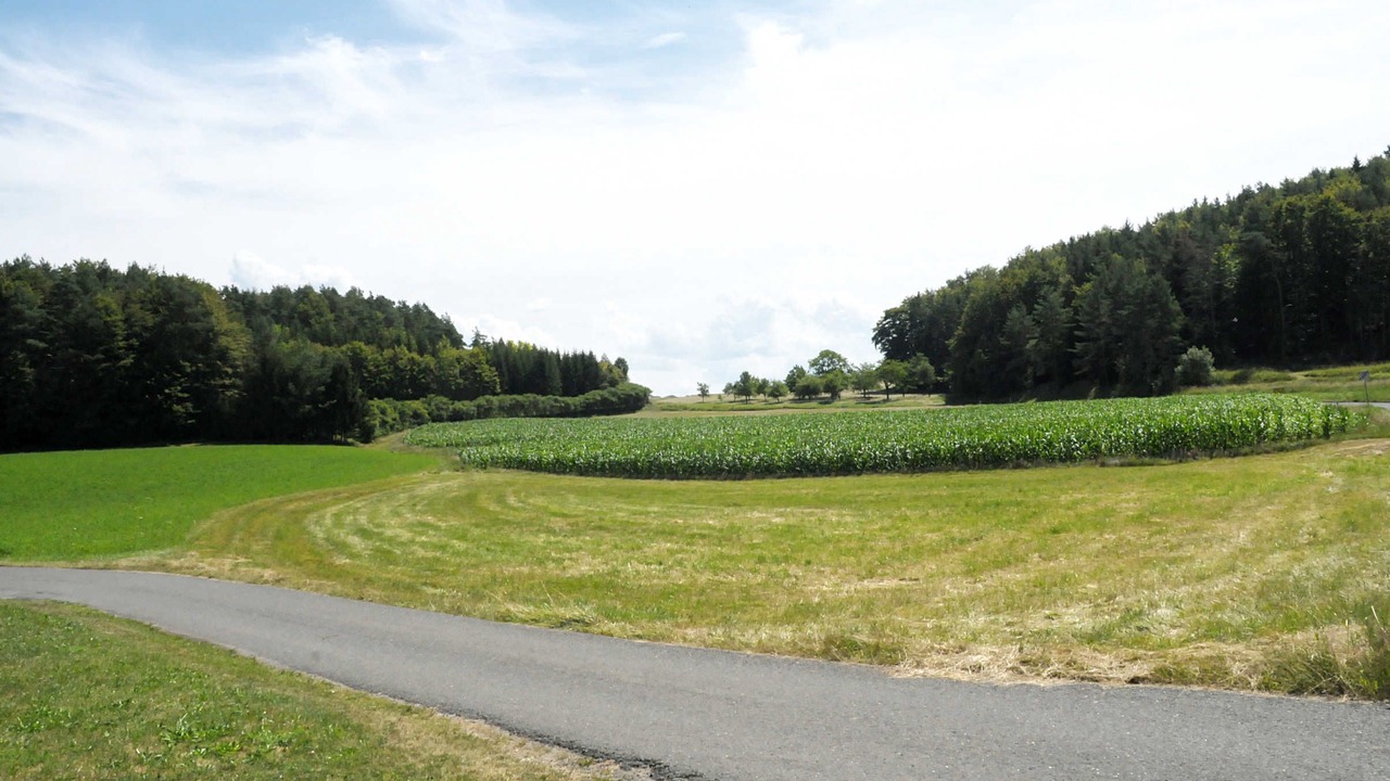 Photo of Others in Obertrubach