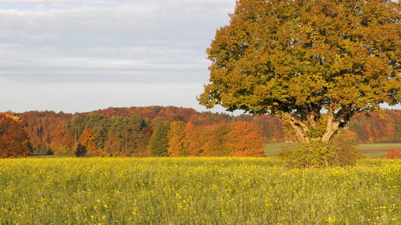 Photo of Others in Obertrubach