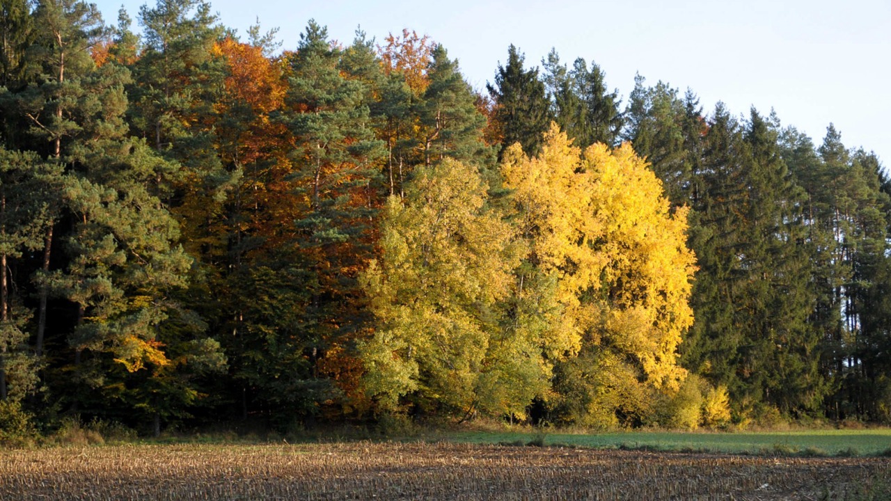 Photo of Others in Obertrubach