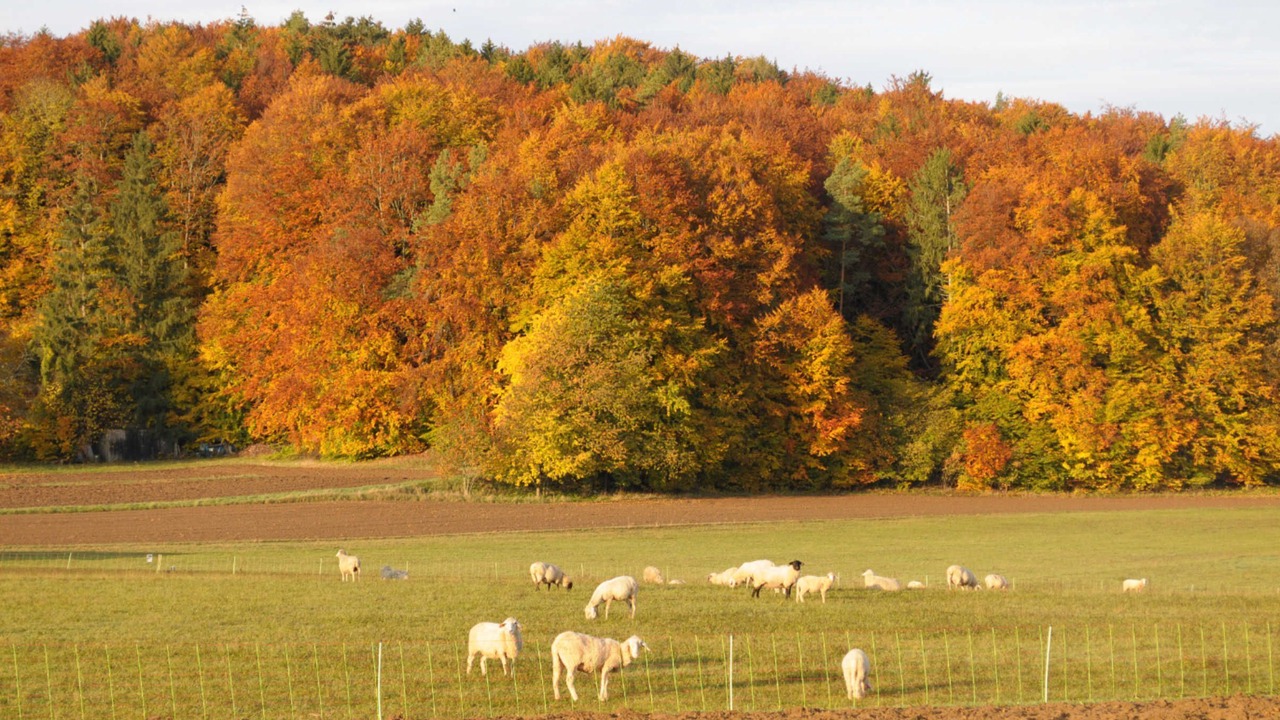 Photo of Others in Obertrubach