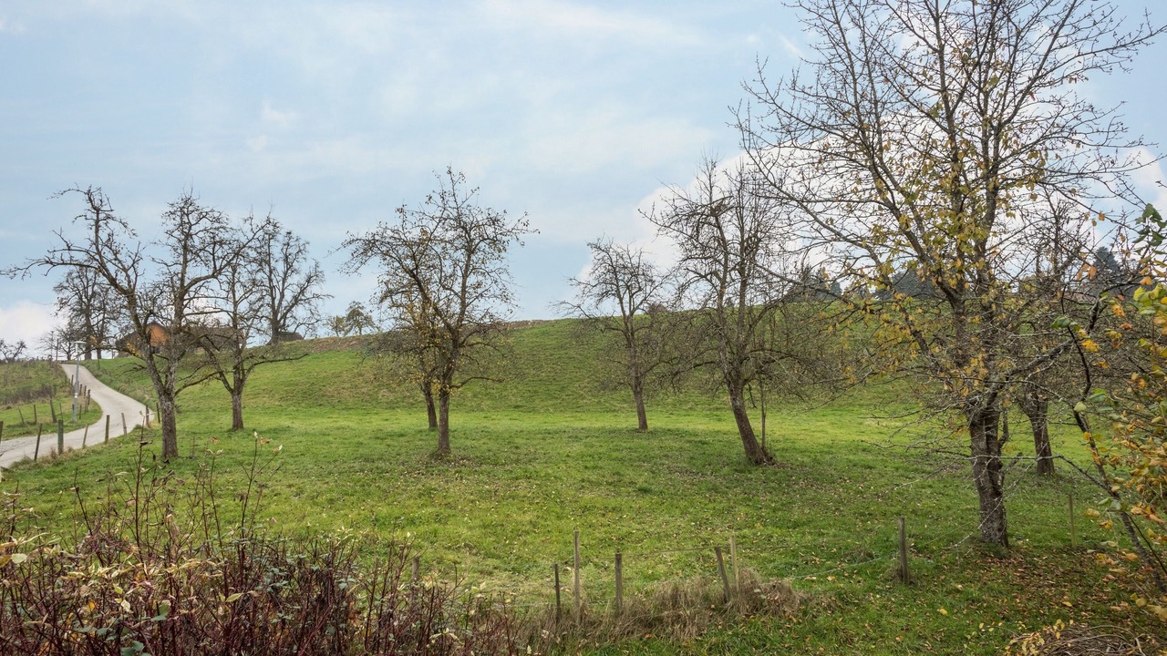 Photo of Outdoor in Lindau