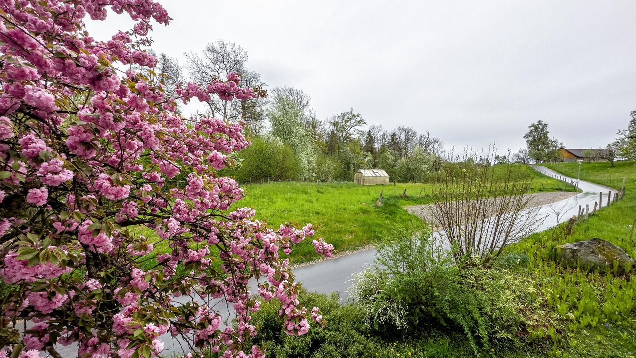 Photo of Outdoor in Lindau