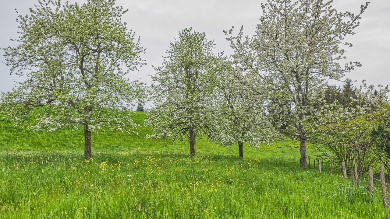 Photo of Outdoor in Lindau
