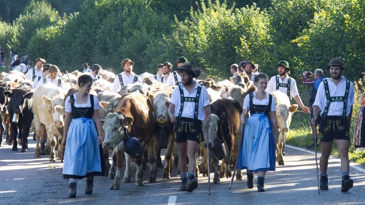 Photo of Others in Steibis