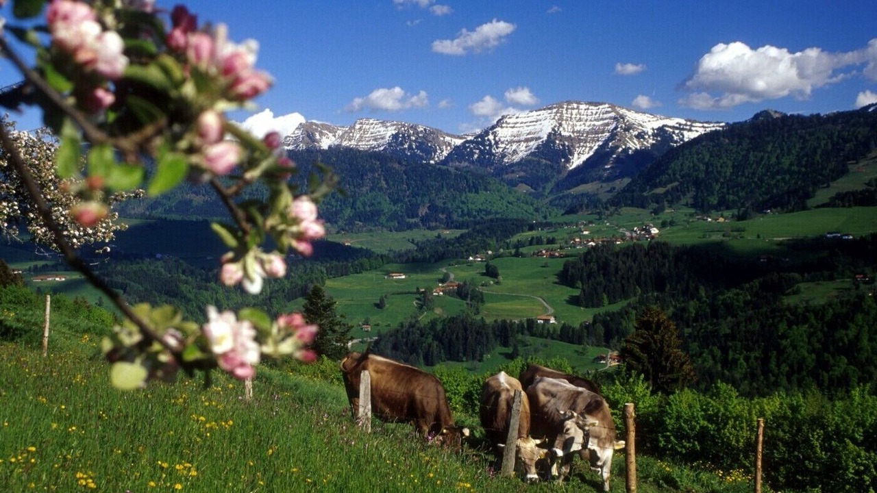 Photo of Outdoor in Steibis