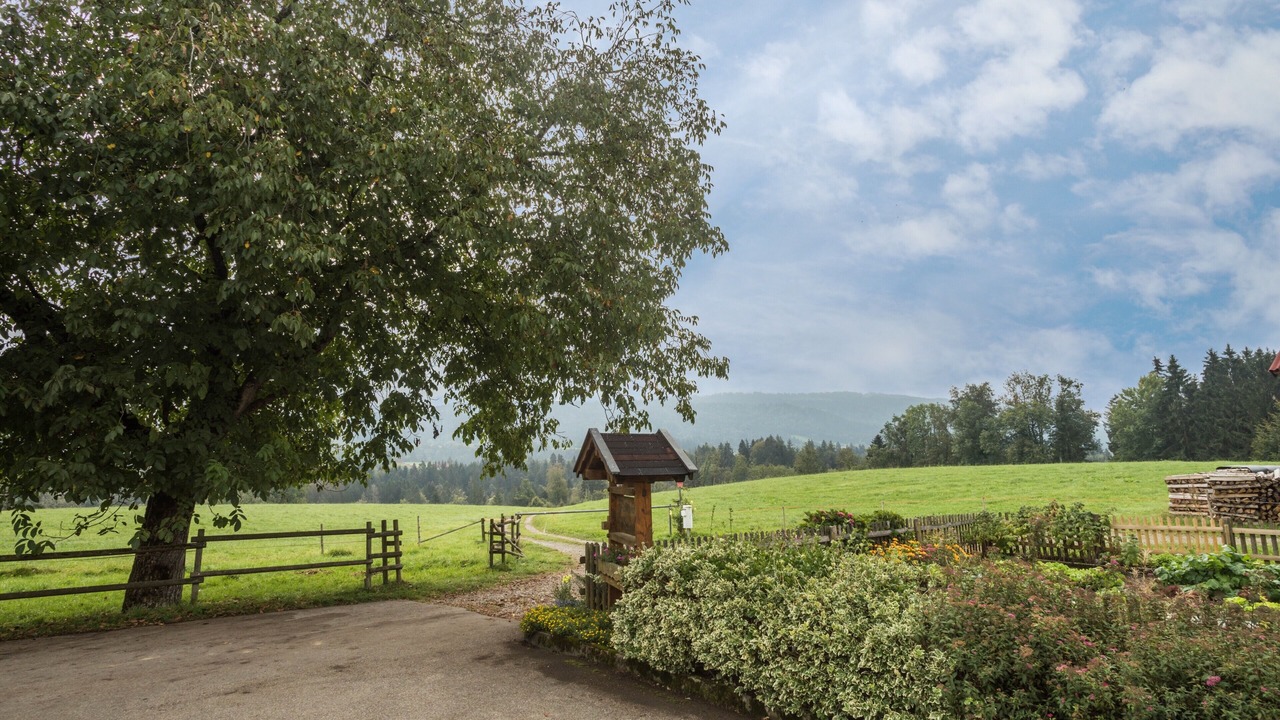 Photo of Outdoor in Hergensweiler