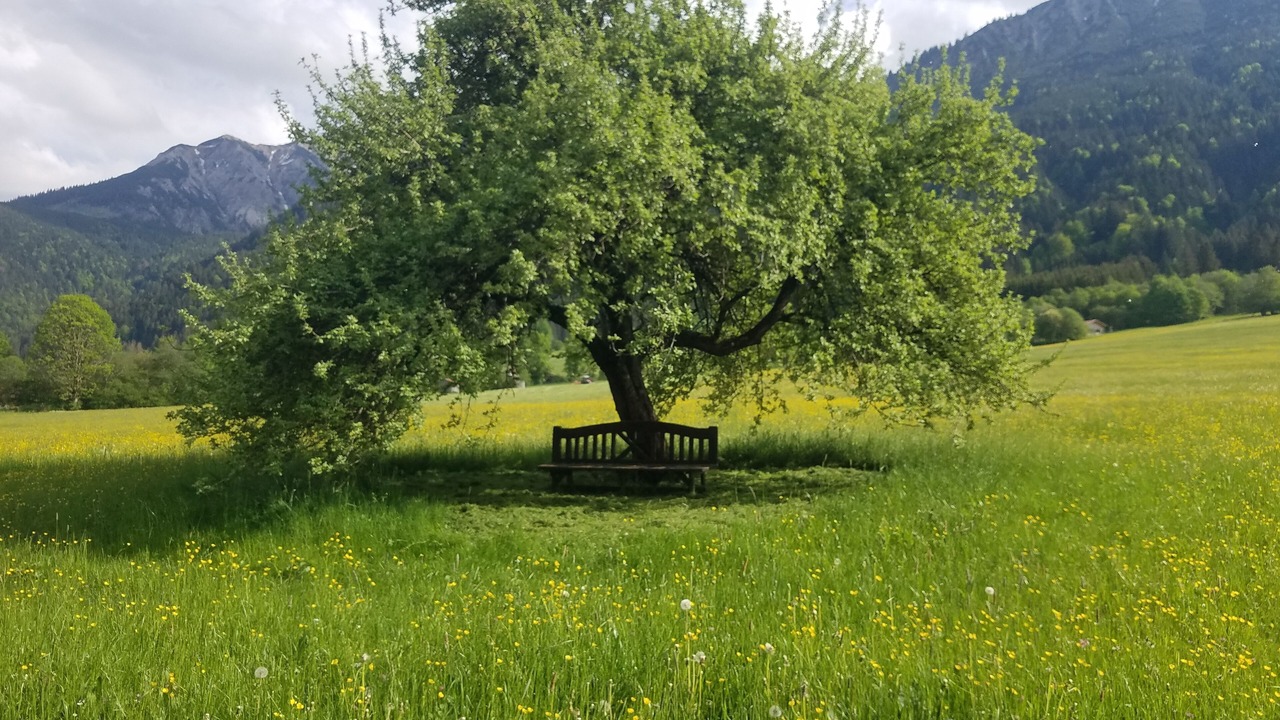 Photo of Others in Steinach