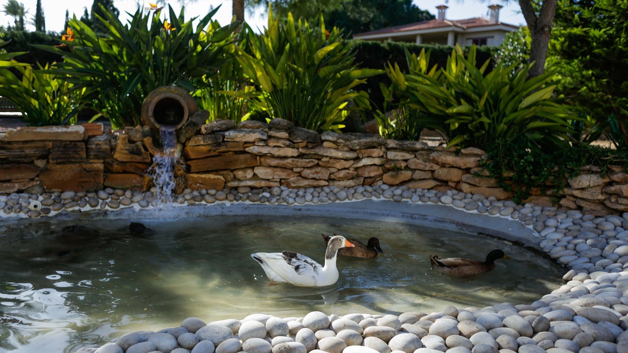 Photo of Outdoor in Elche