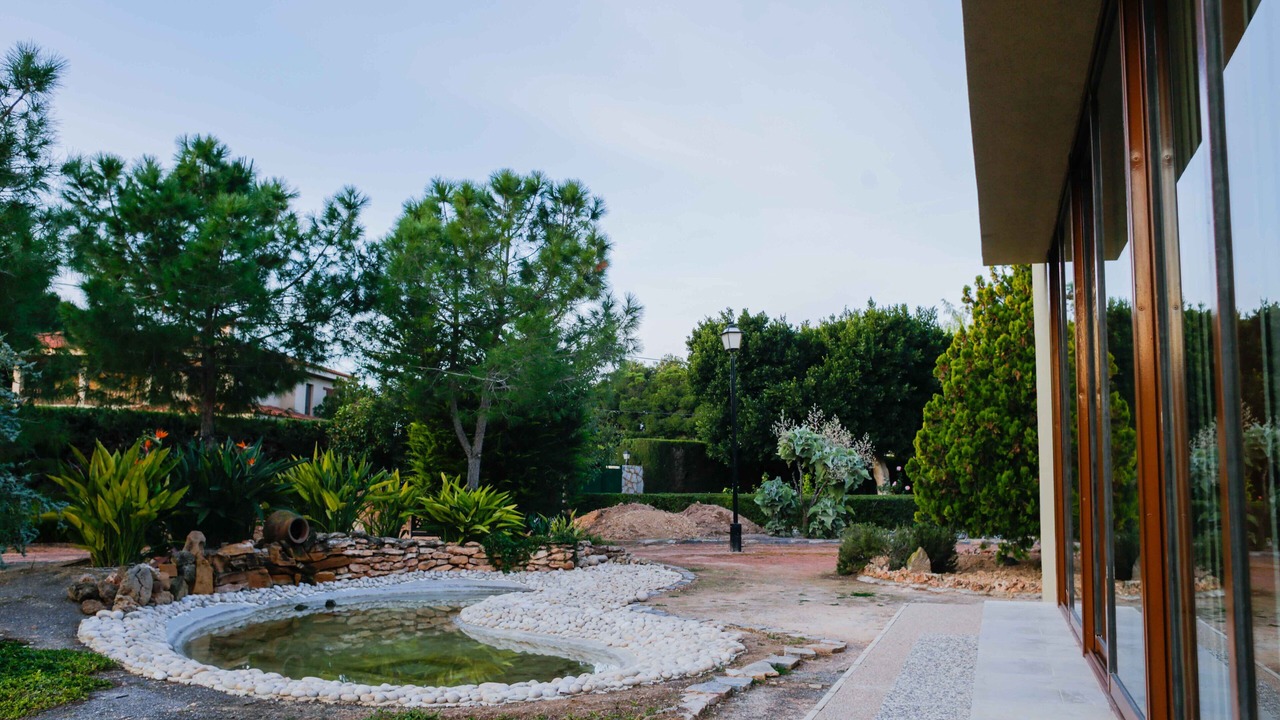 Photo of Outdoor in Elche
