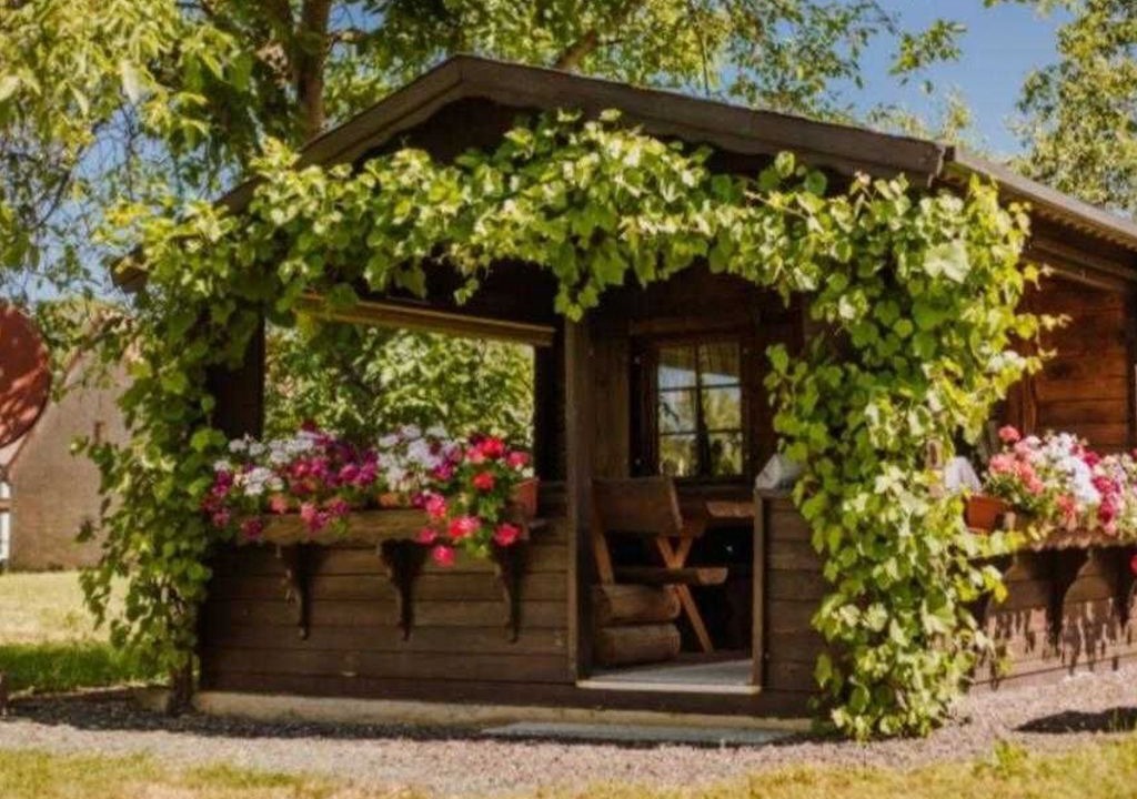 Photo of Outdoor in Eggolsheim