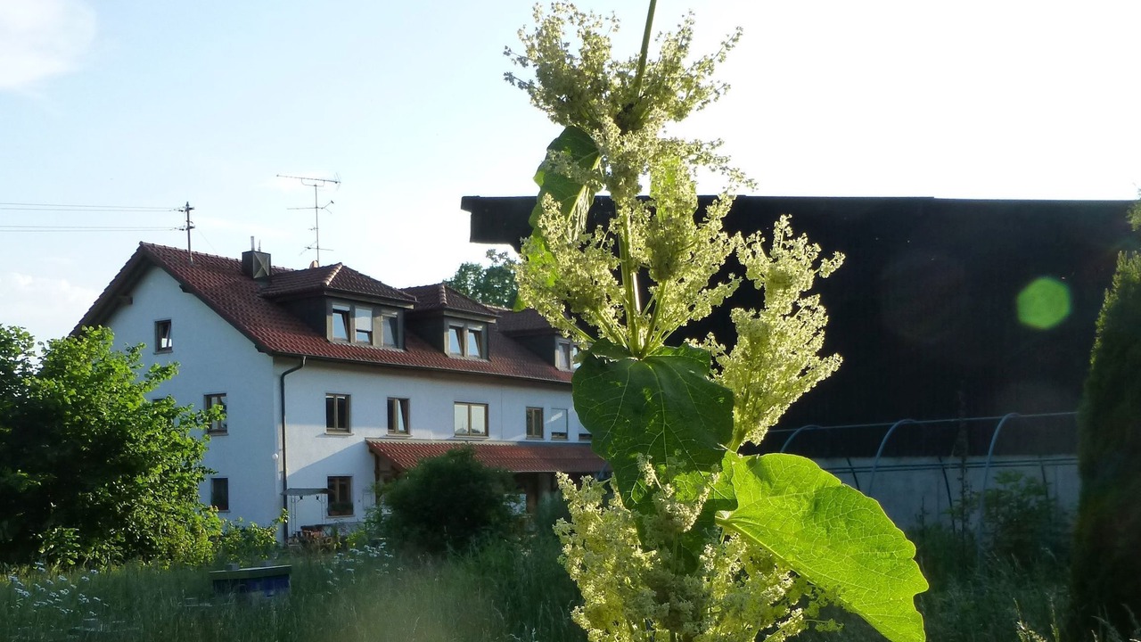 Photo of Outdoor in Ostrach