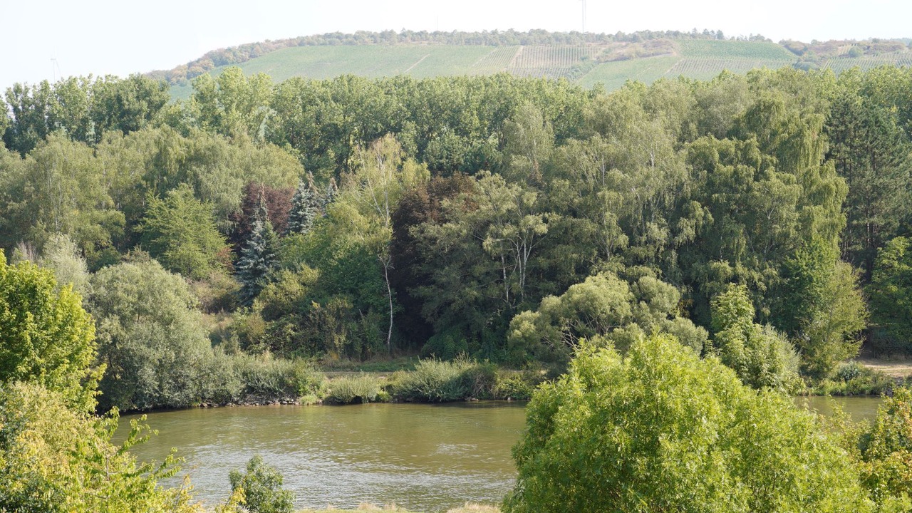 Photo of Others in Erlabrunn