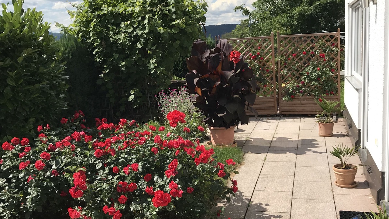 Photo of Outdoor in Happurg