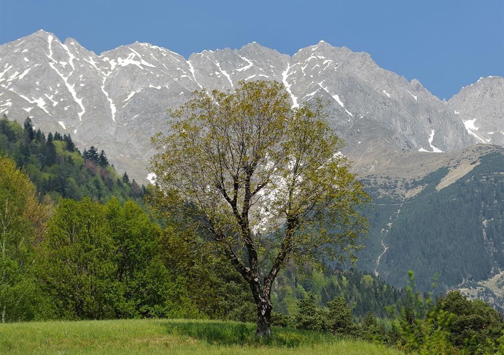 Photo of Others in Hoetting