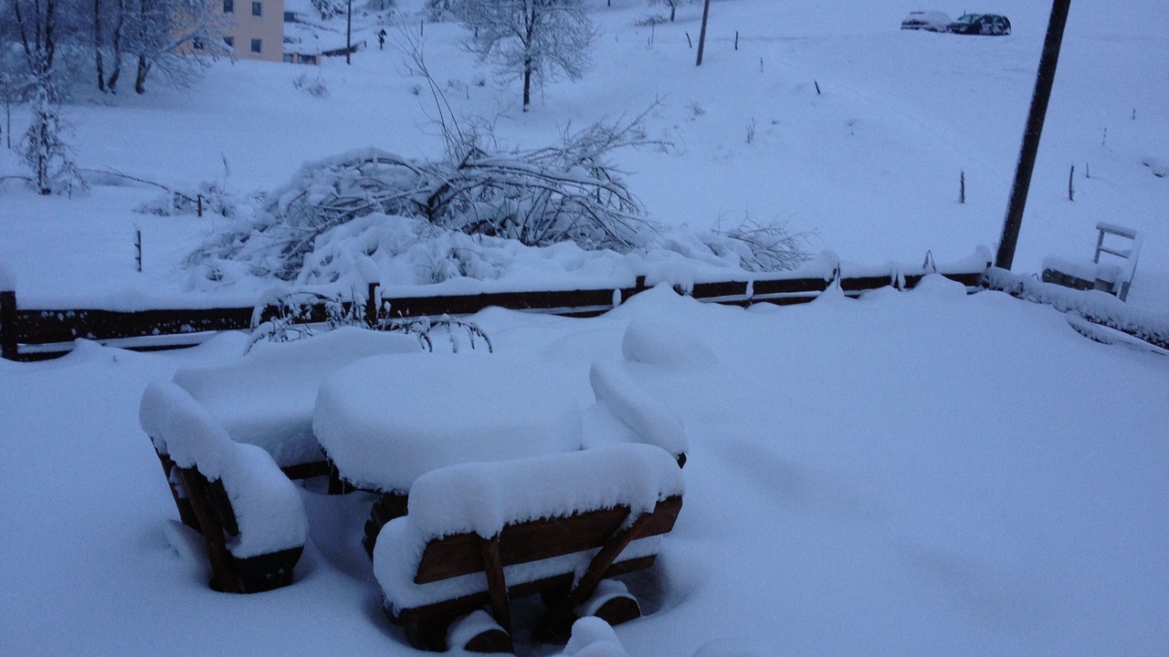 Photo of Outdoor in Schmiedeberg