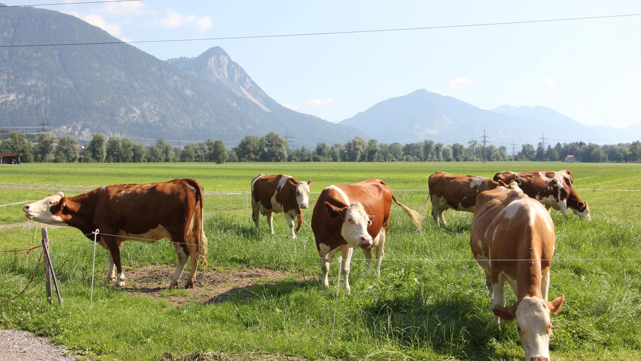 Photo of Outdoor in Strass im Zillertal