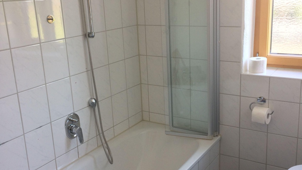 Photo of Bathroom in Steibis