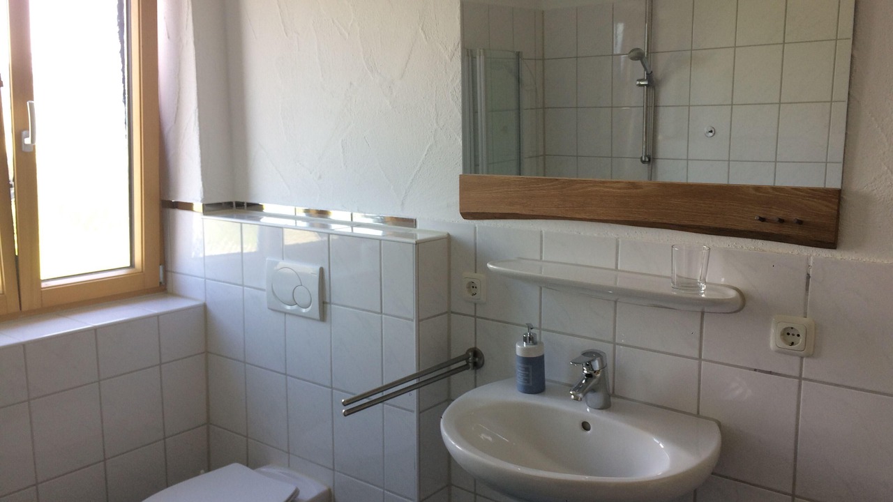 Photo of Bathroom in Steibis