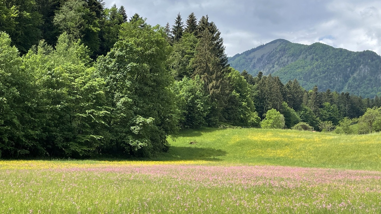 Photo of Others in Marquartstein
