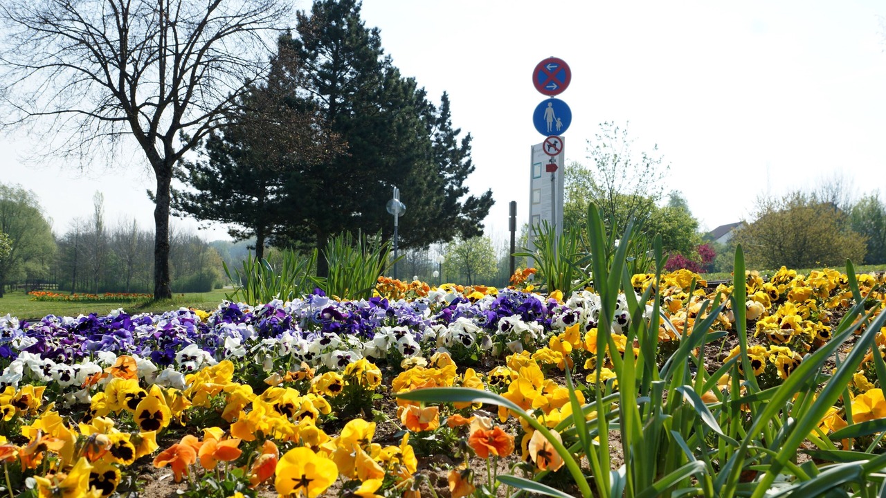 Photo of Outdoor in Bad Rodach