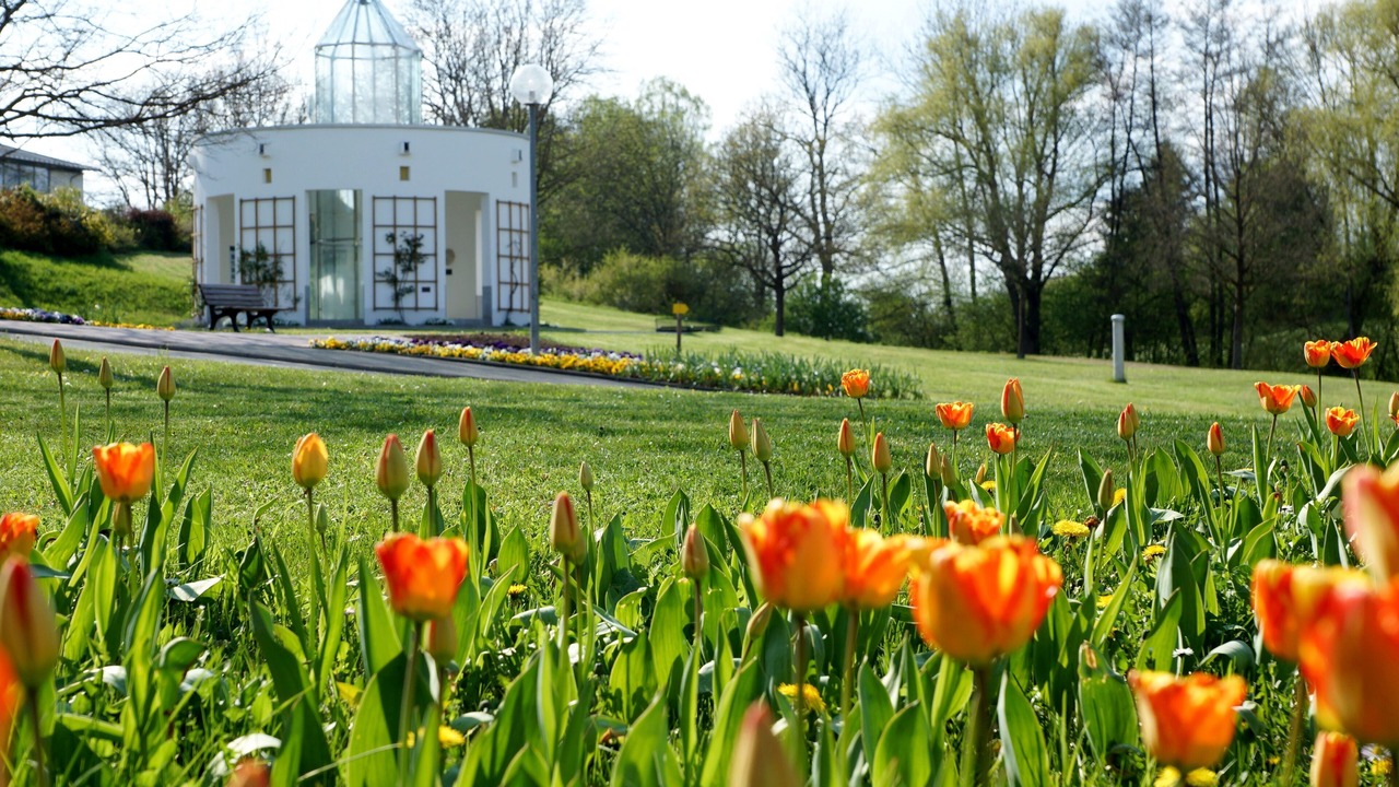 Photo of Outdoor in Bad Rodach