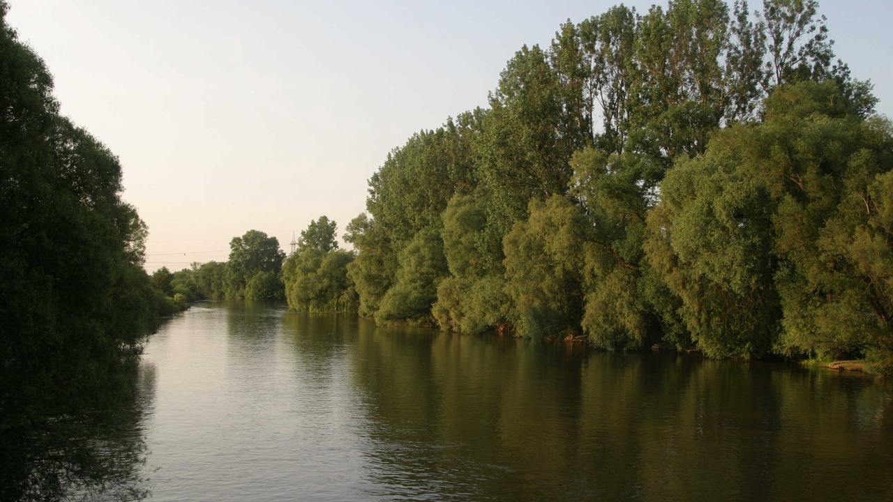 Photo of Others in Erlangen