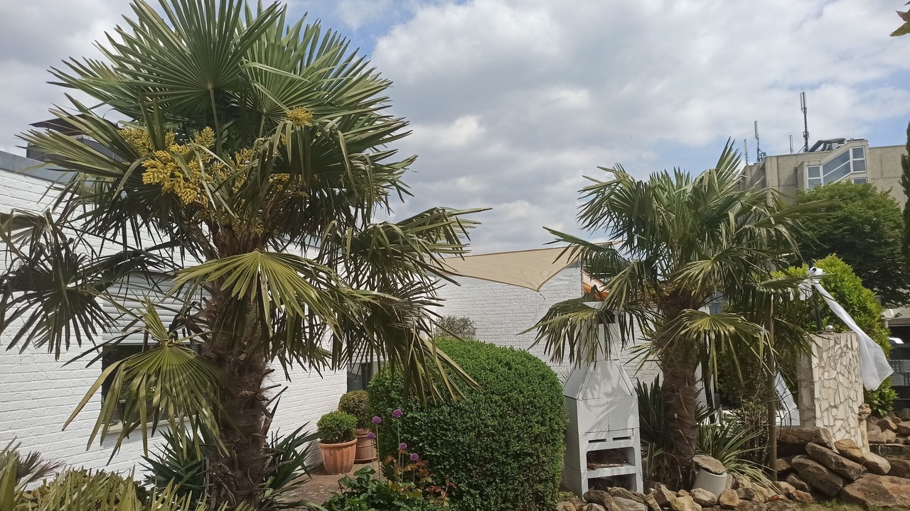 Photo of Outdoor in Burgsteinfurt