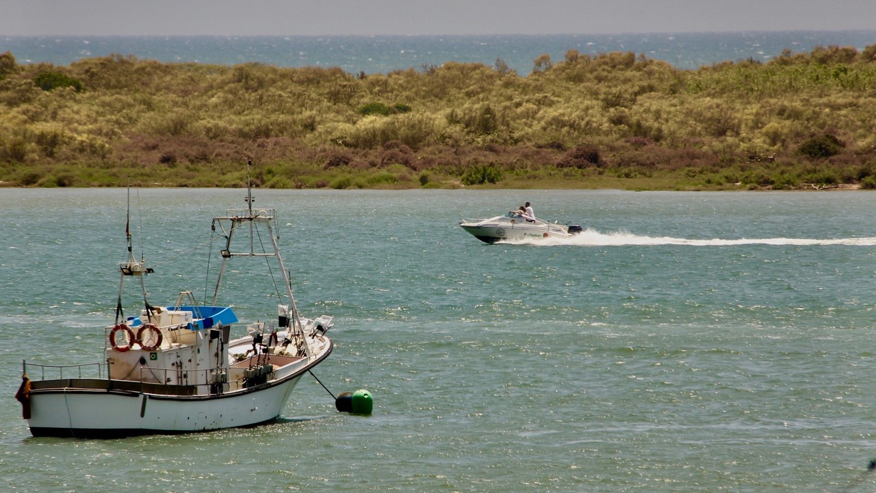 Photo of Others in El Rompido