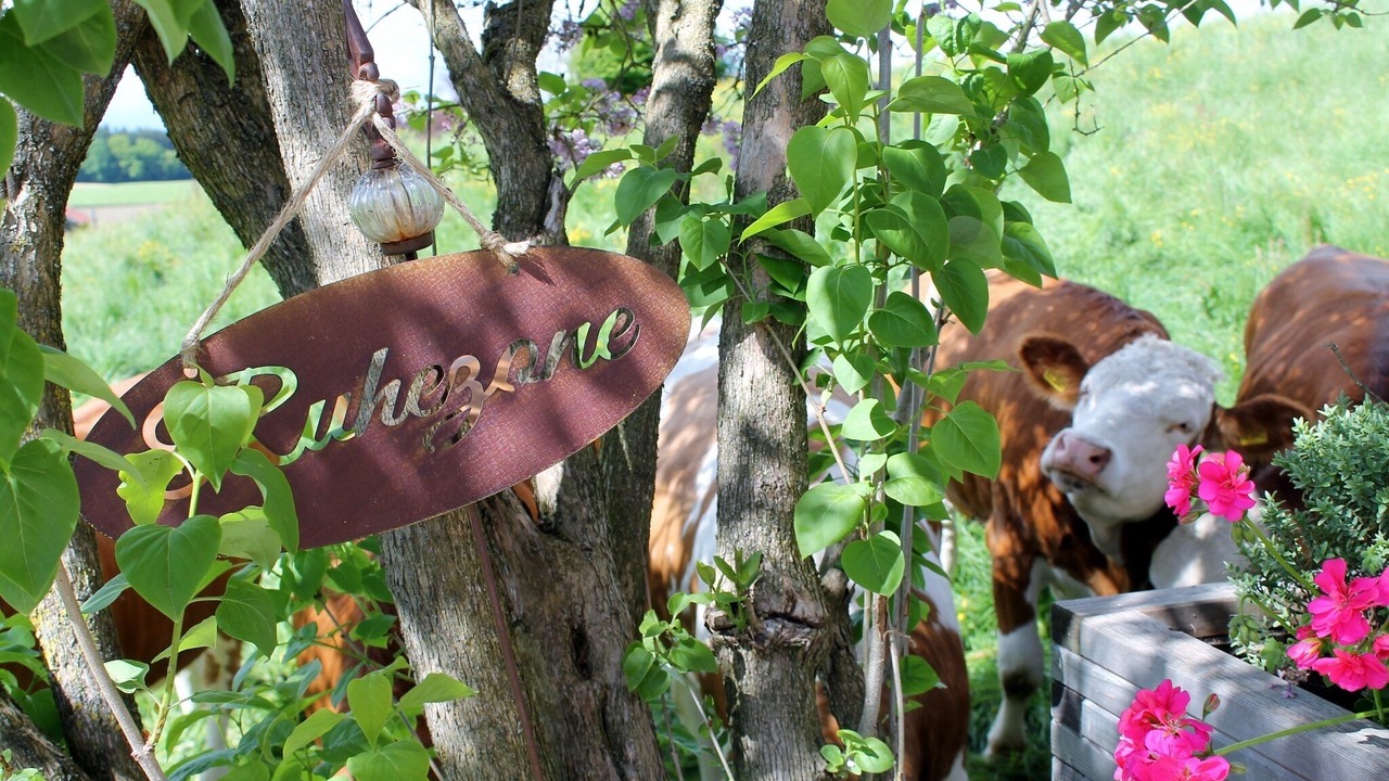 Photo of Outdoor in Chieming