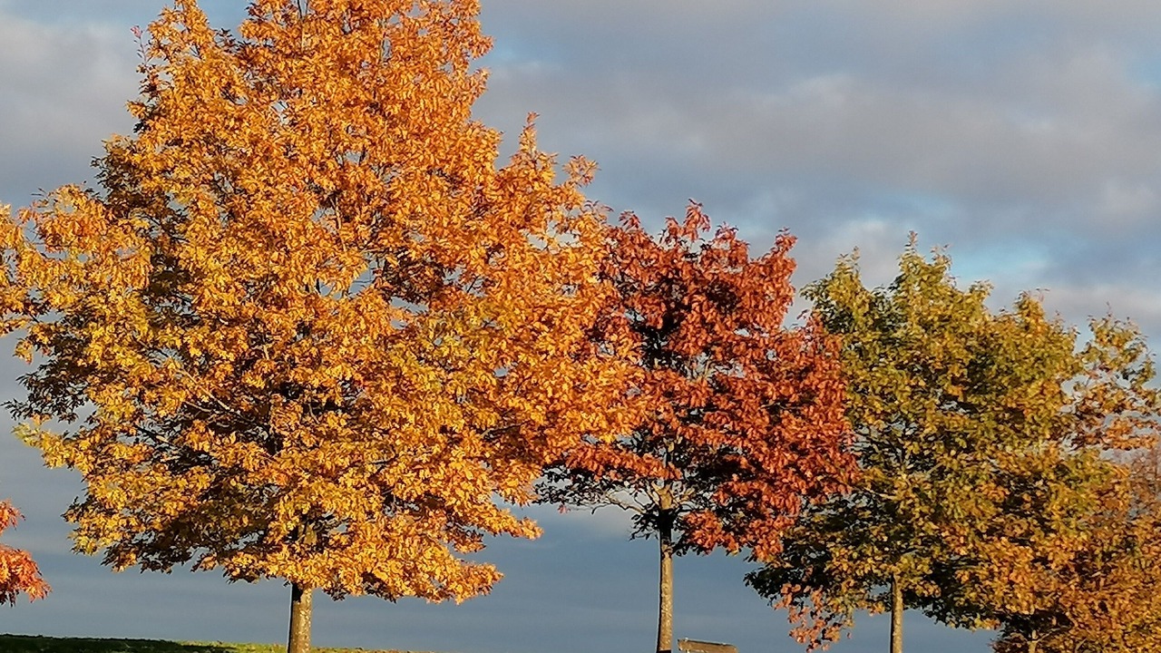 Photo of Outdoor in Chieming
