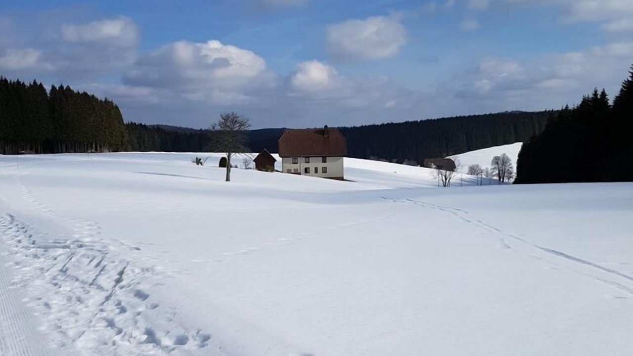 Photo of Others in Schoenwald