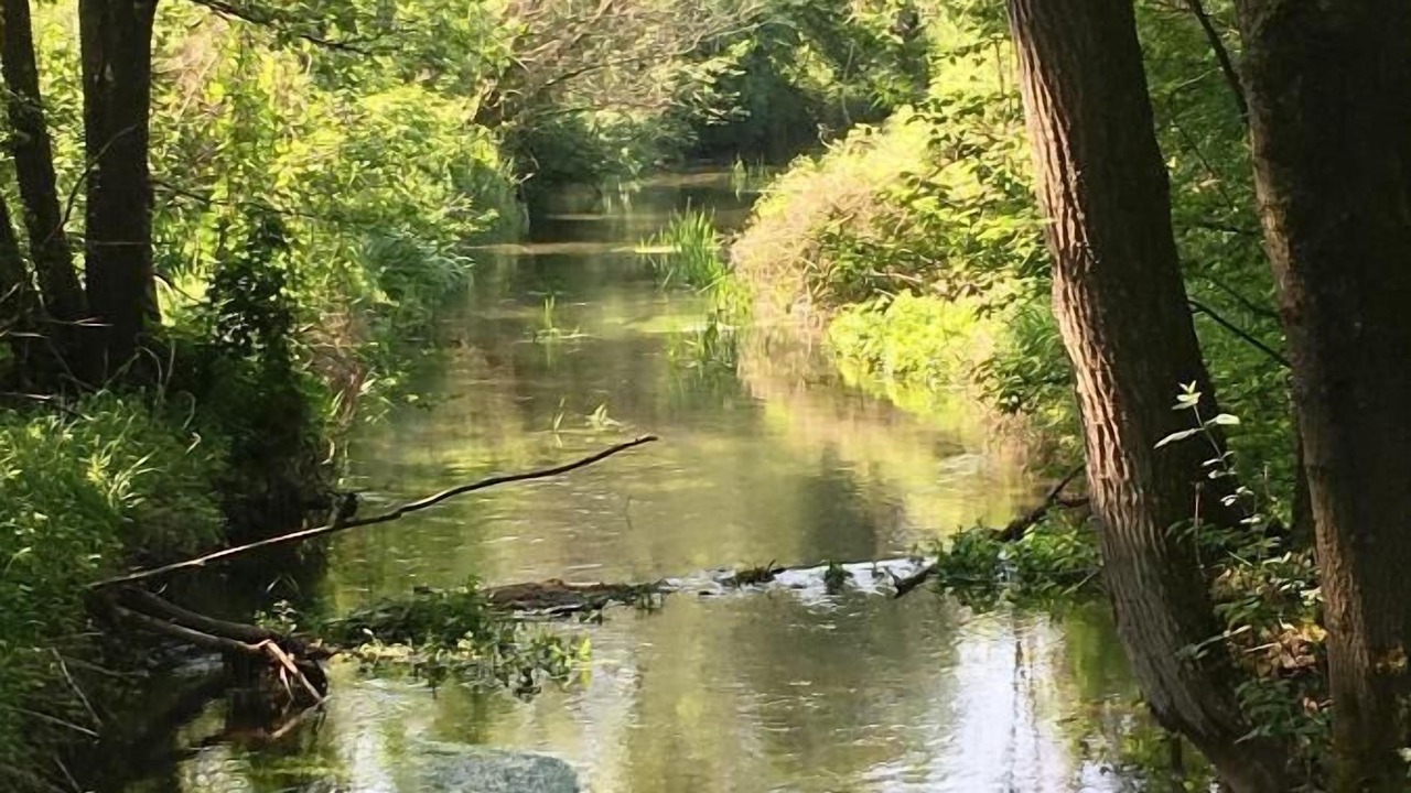 Photo of Outdoor in Hartkirchen