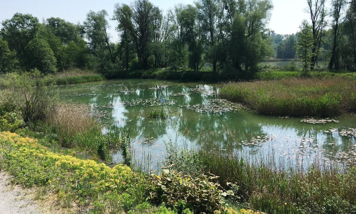 Photo of Outdoor in Hartkirchen