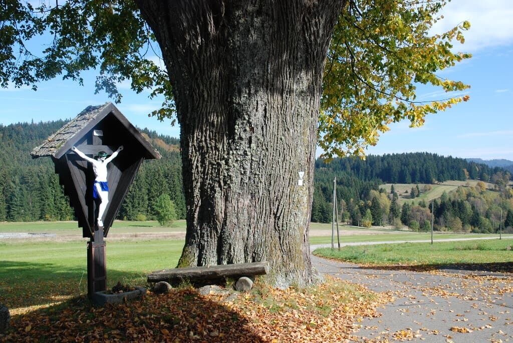 Photo of Outdoor in Mitterfirmiansreut