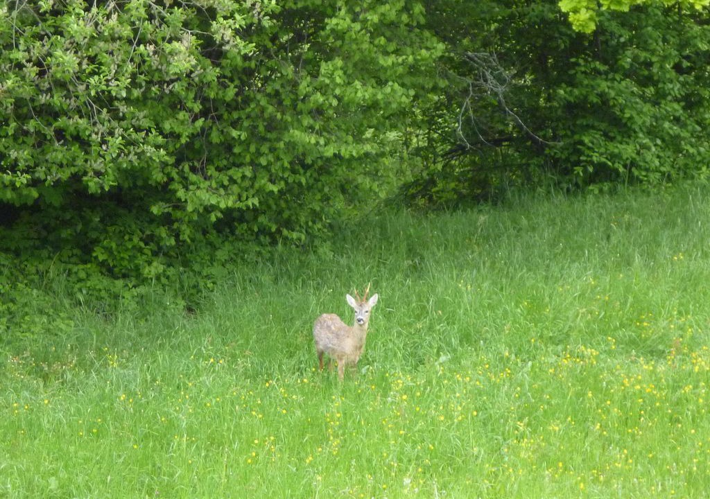 Photo of Outdoor in Sonnen