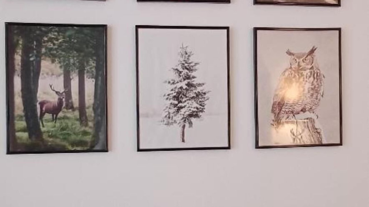 Photo of Others in Mehlmeisel