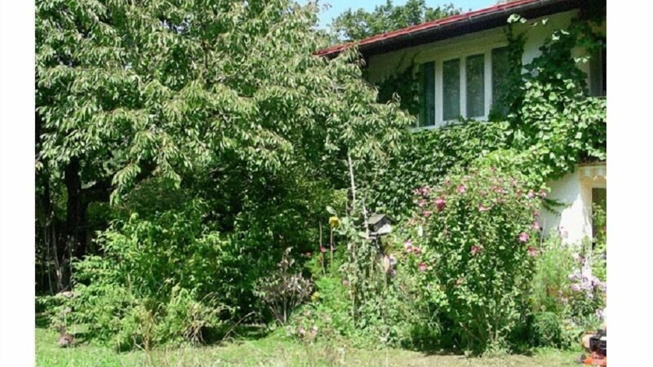 Photo of Outdoor in Gmain