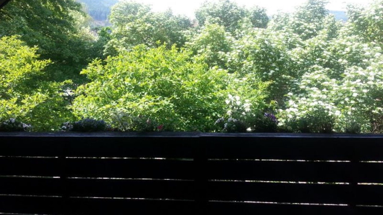 Photo of Outdoor in Miltenberg