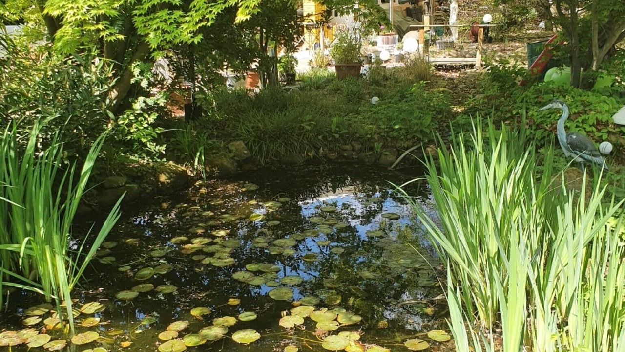 Photo of Outdoor in Miltenberg