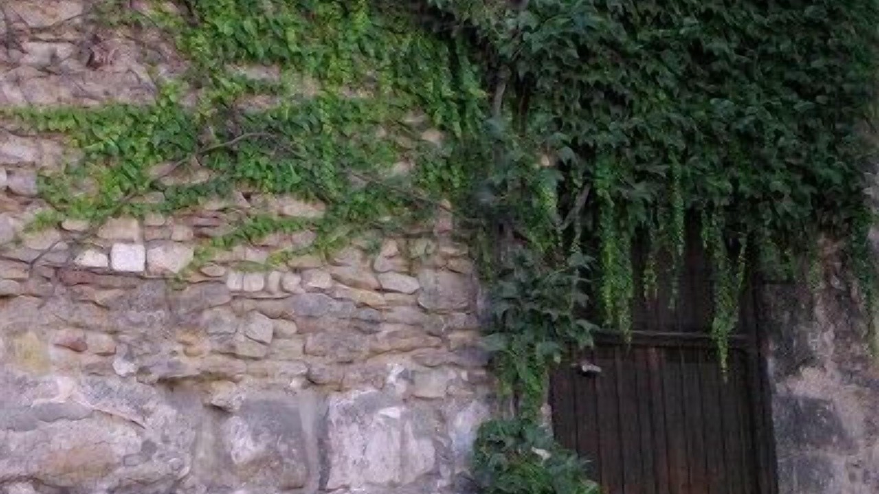 Photo of Outdoor in City Centre Regensburg