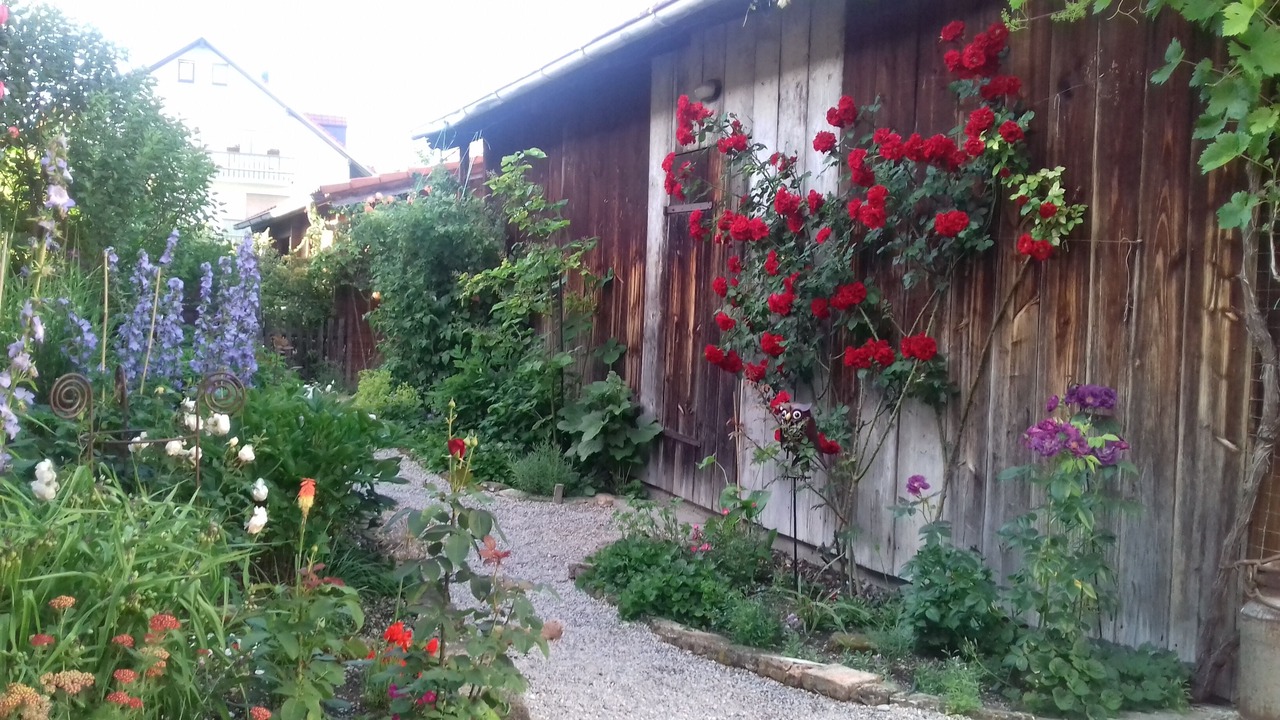 Photo of Outdoor in Weilheim
