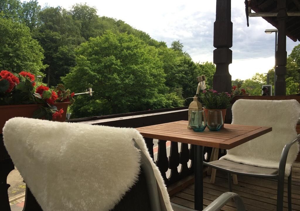 Photo of Outdoor in Loschwitz
