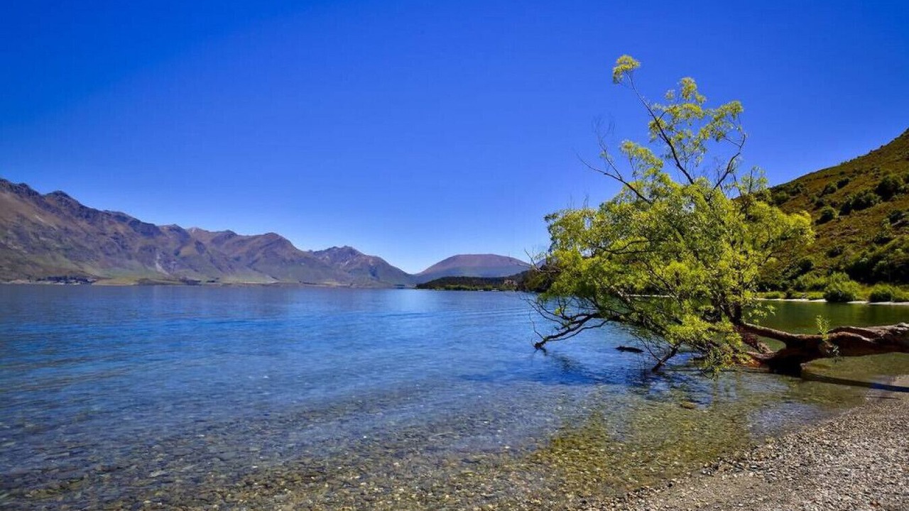 Photo of Others in Queenstown