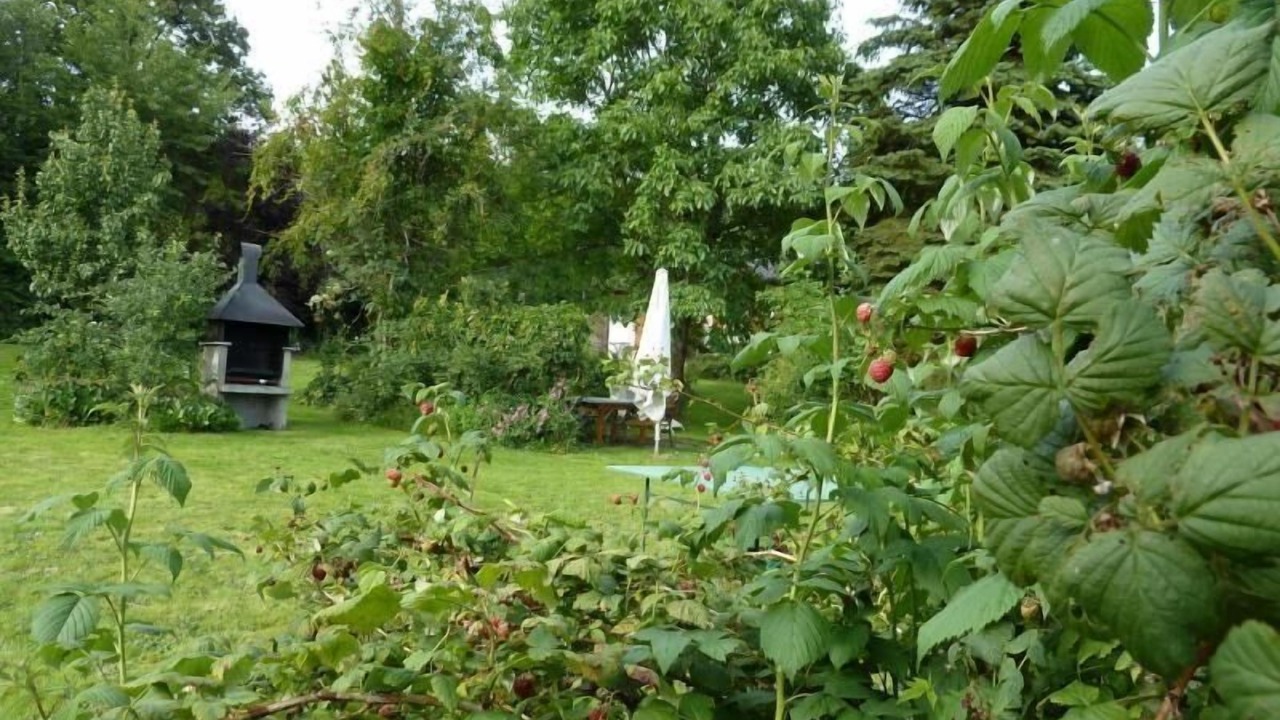 Photo of Outdoor in Kirchdorf im Wald