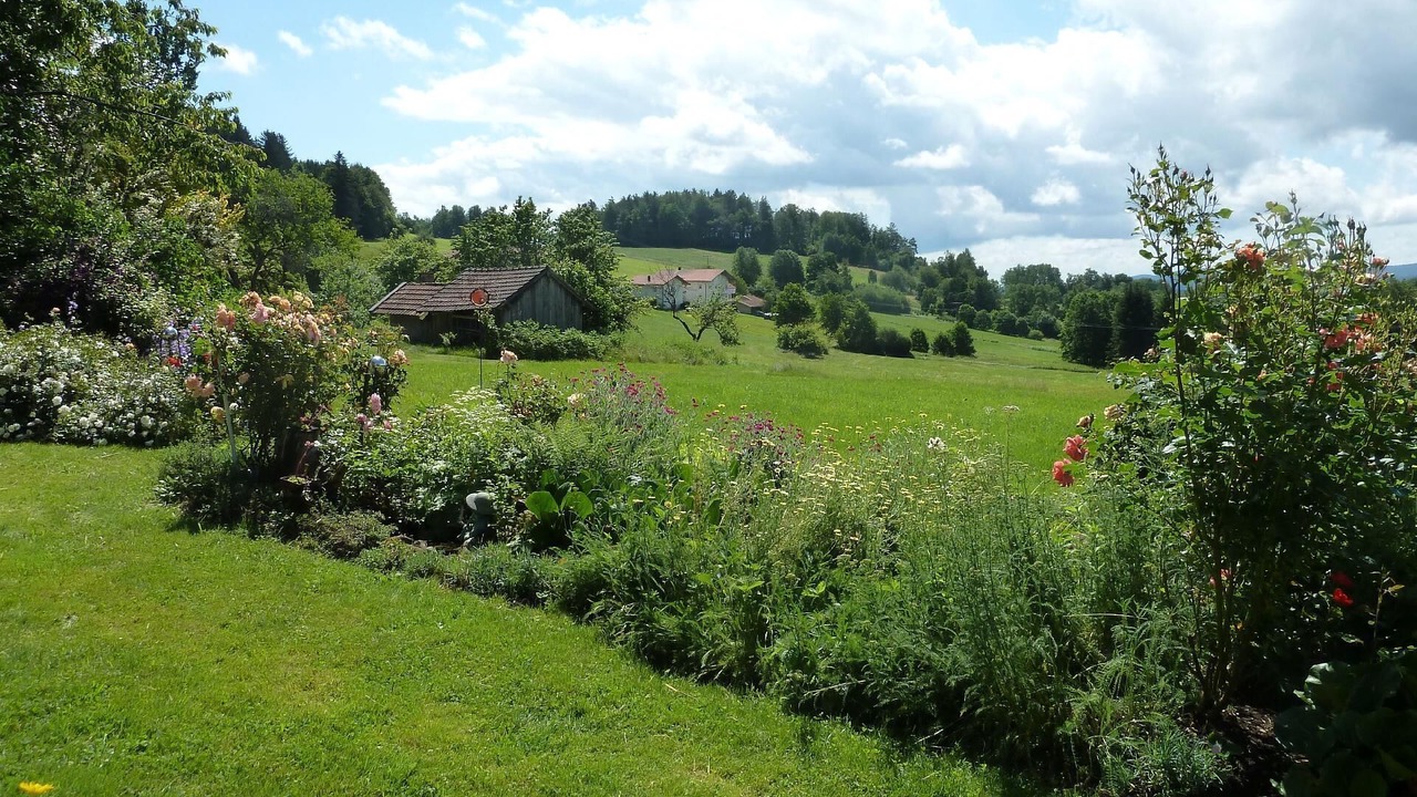 Photo of Outdoor in Kirchdorf im Wald