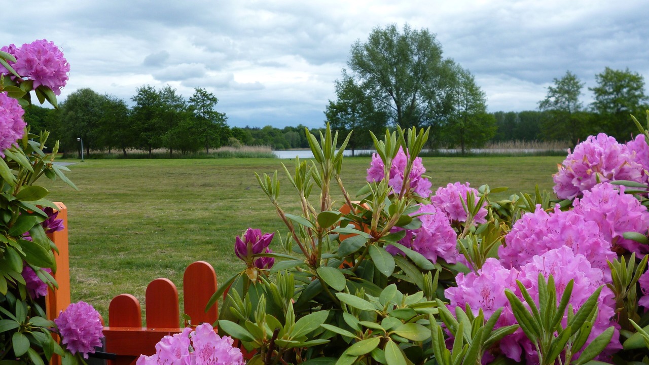 Photo of Outdoor in Ostercappeln