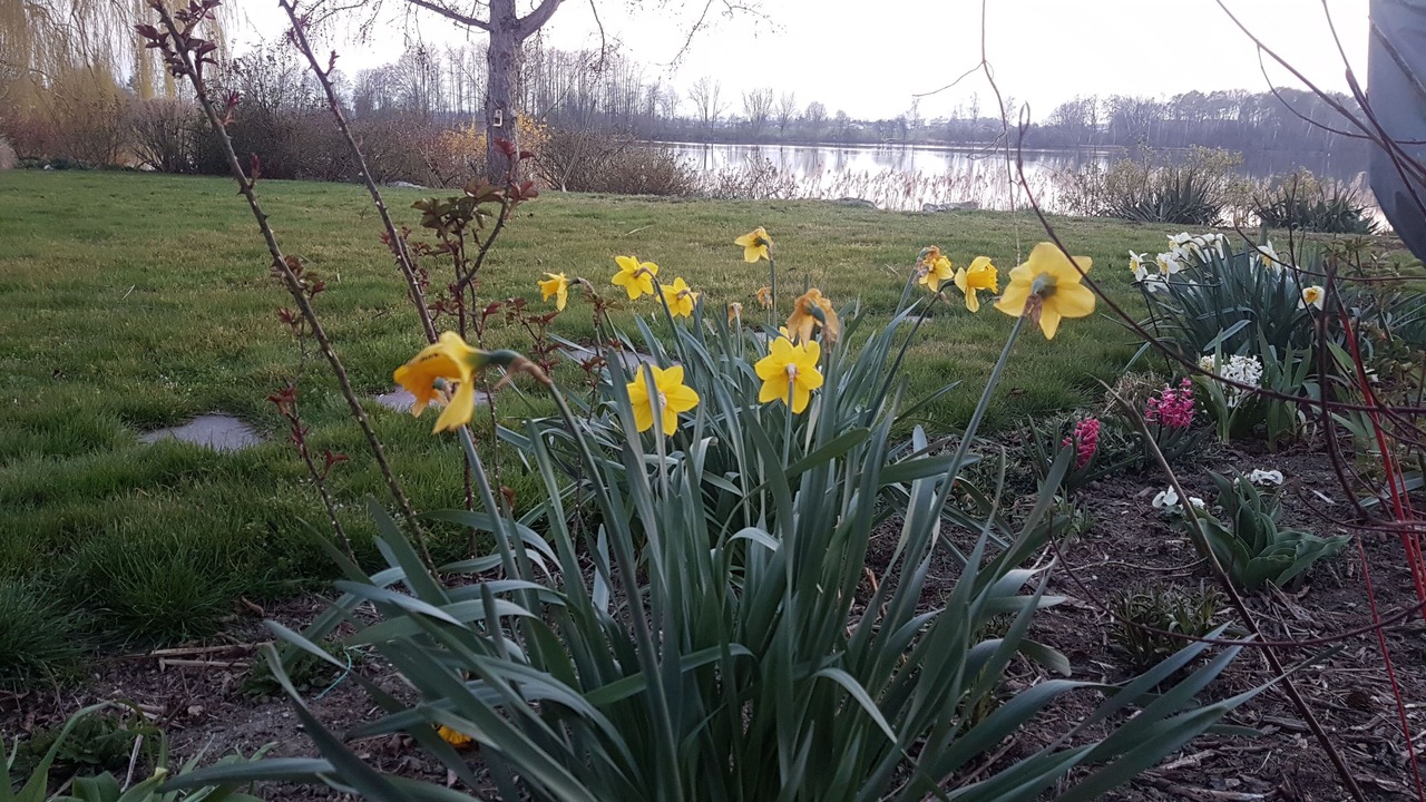 Photo of Outdoor in Wasserburg am Inn