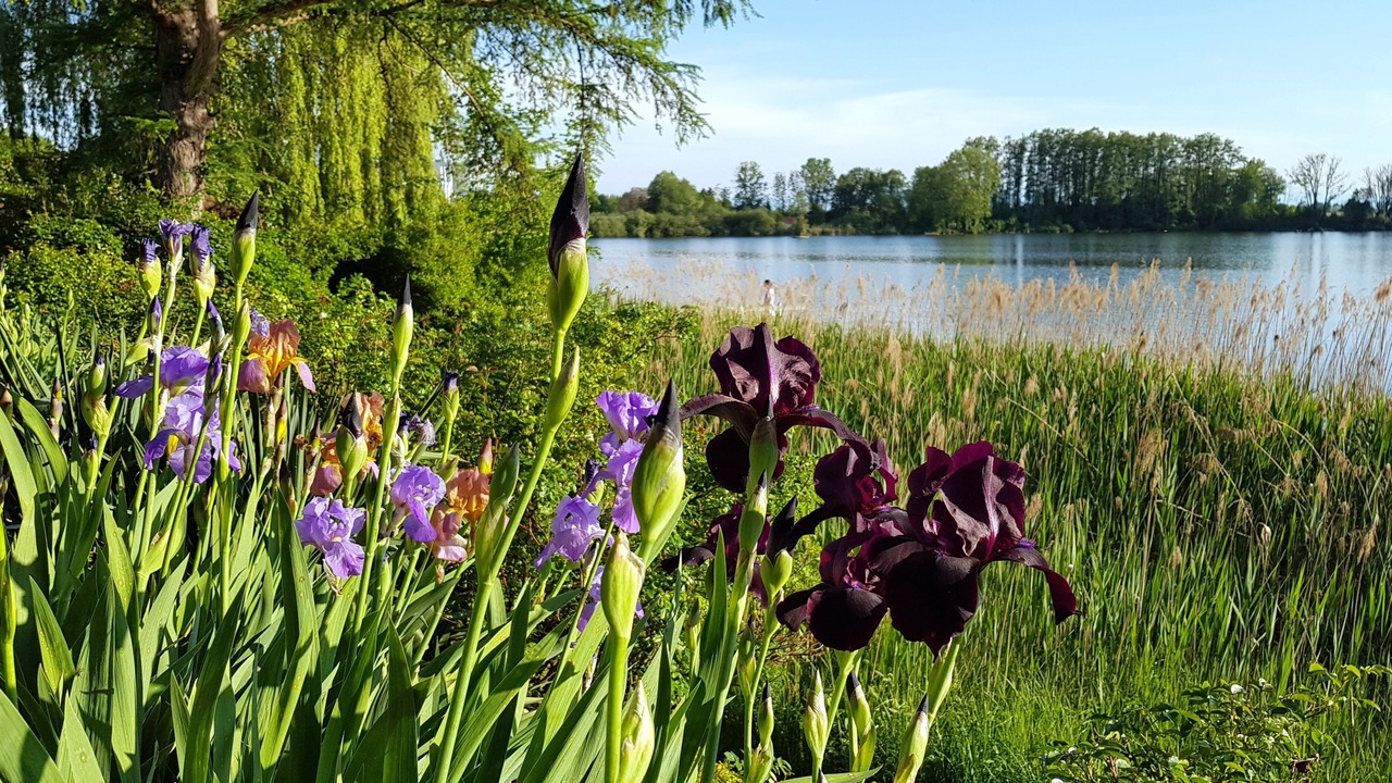Photo of Outdoor in Wasserburg am Inn