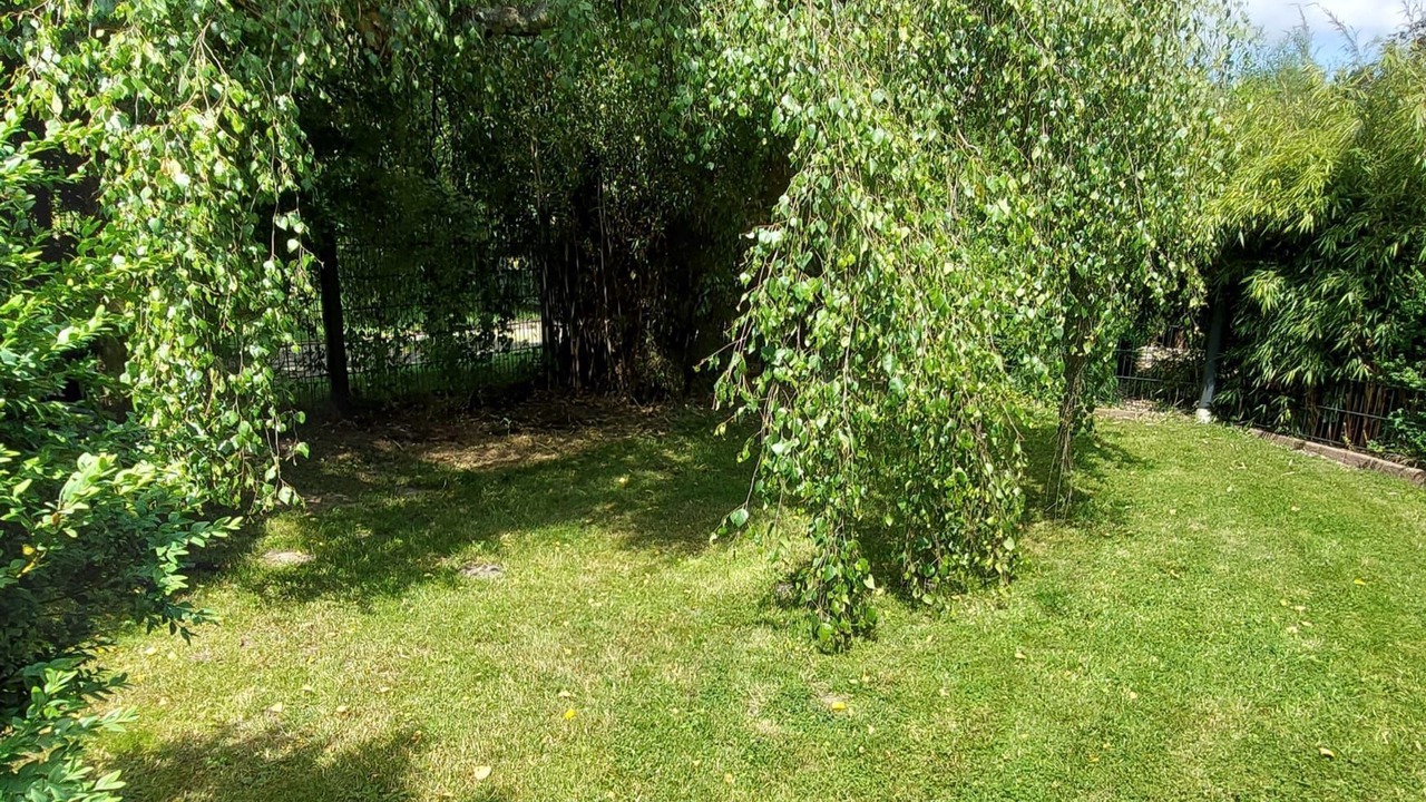 Photo of Outdoor in Leeden